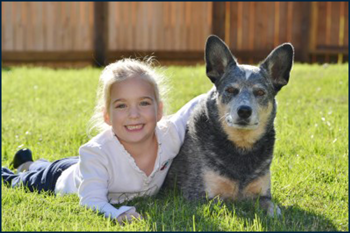 Kind &amp; Hund Rudelgeflüster Silke Ludwig